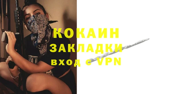 дживик Арсеньев