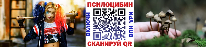 Псилоцибиновые грибы мухоморы  Северобайкальск 